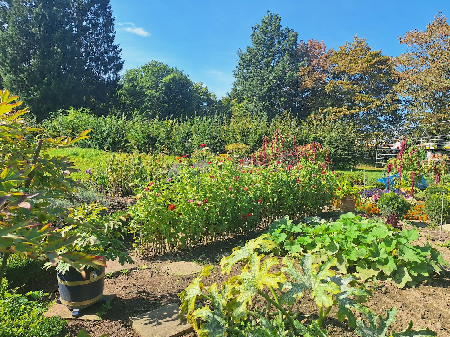 Steinweg führt durch einen Garten mit Reihen verschiedener Pflanzen.