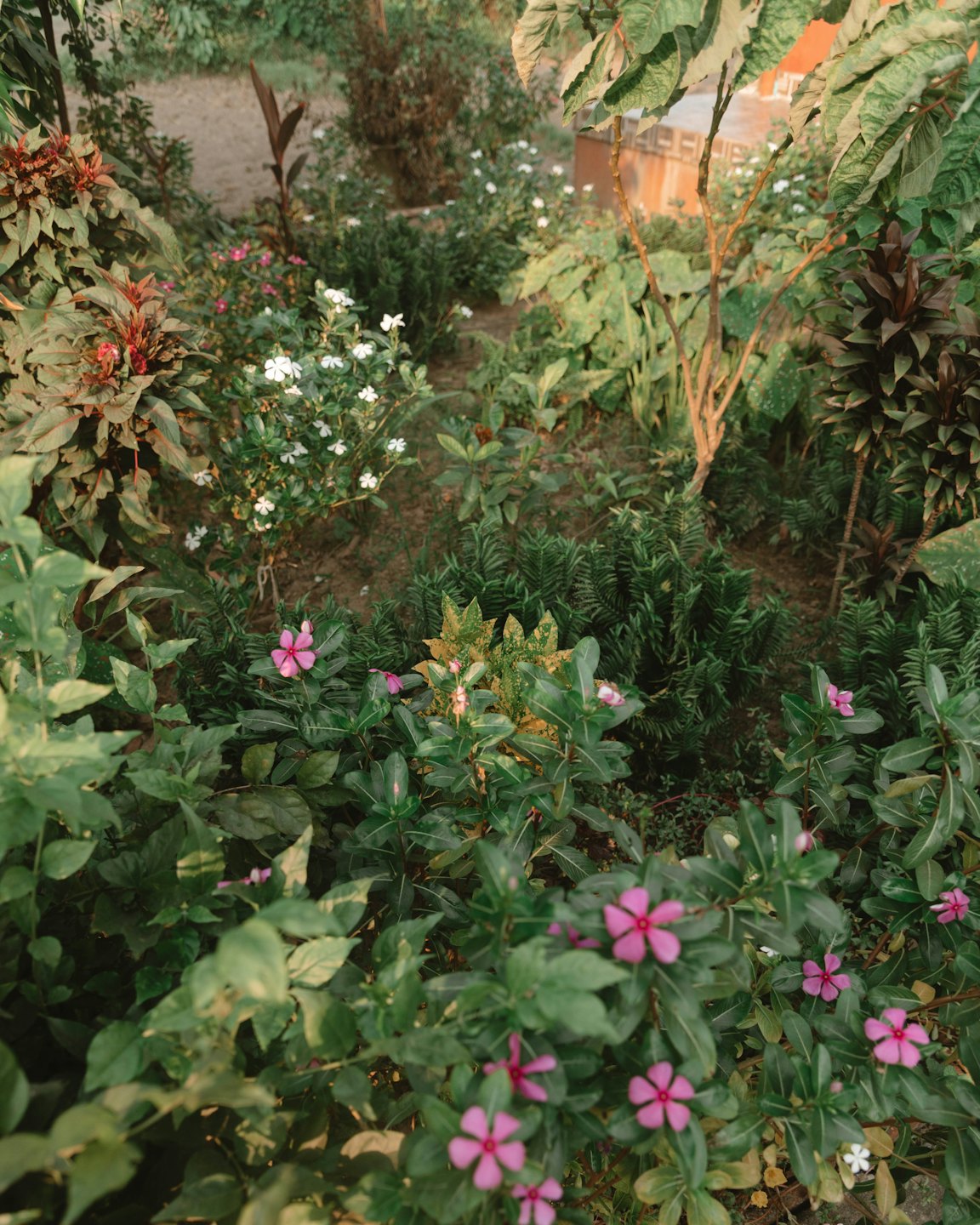 Üppiger Garten mit grünem Laub und bunten Blumen.